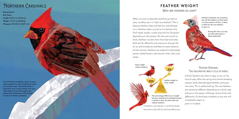 Sample content 3_Light as a Feather