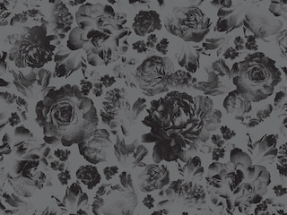 Aper&ccedil;u du contenu 3_Lights Out Collector's Edition