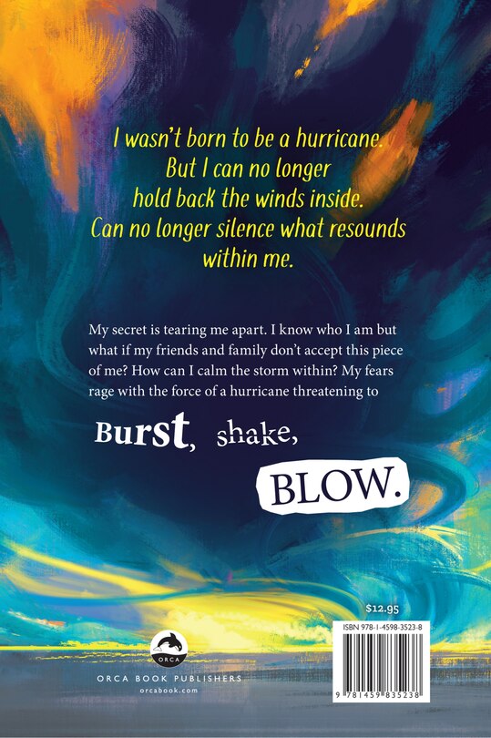 Back cover_Like a Hurricane