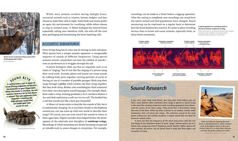 Sample content 5_Listen Up!