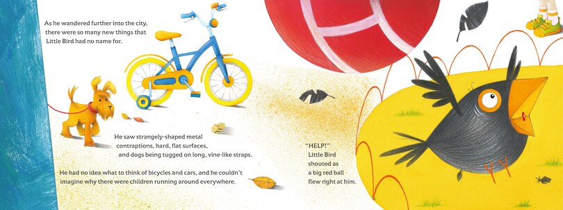 Sample content_Little Bird Visits The Big City