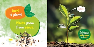 Sample content_National Geographic Kids Little Kids First Board Book Seed, Sprout, Grow!