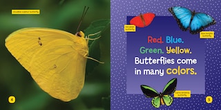 Sample content_National Geographic Kids Little Kids First Board Book: Becoming a Butterfly