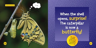 Sample content 3_National Geographic Kids Little Kids First Board Book: Becoming a Butterfly