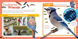 Aperçu du contenu_Little Kids First Nature Guide Birds