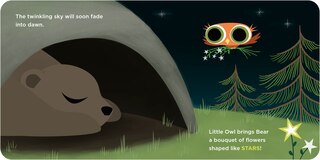 Aper&ccedil;u du contenu_Little Owl's Shapes