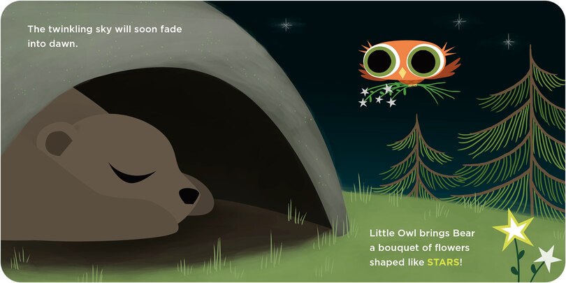 Aper&ccedil;u du contenu_Little Owl's Shapes