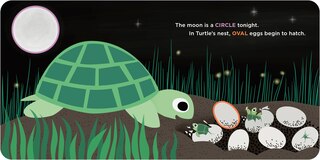 Aper&ccedil;u du contenu 4_Little Owl's Shapes