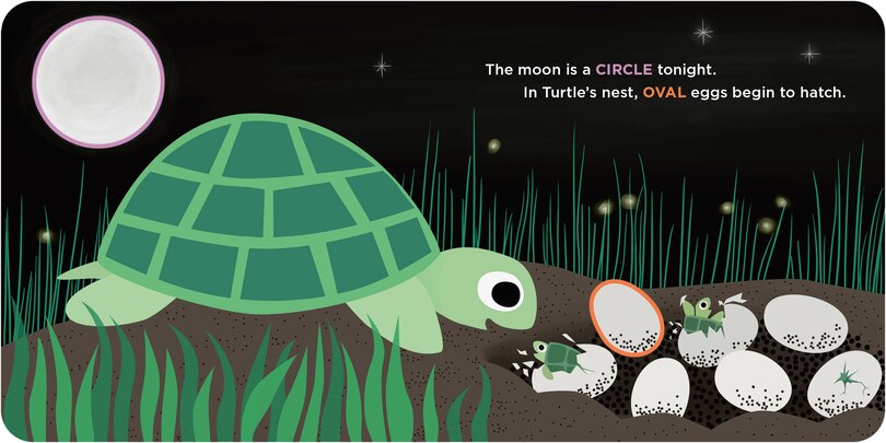 Aper&ccedil;u du contenu 4_Little Owl's Shapes