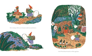 Sample content 5_Little Witch Hazel