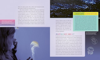 Sample content 3_Living Light