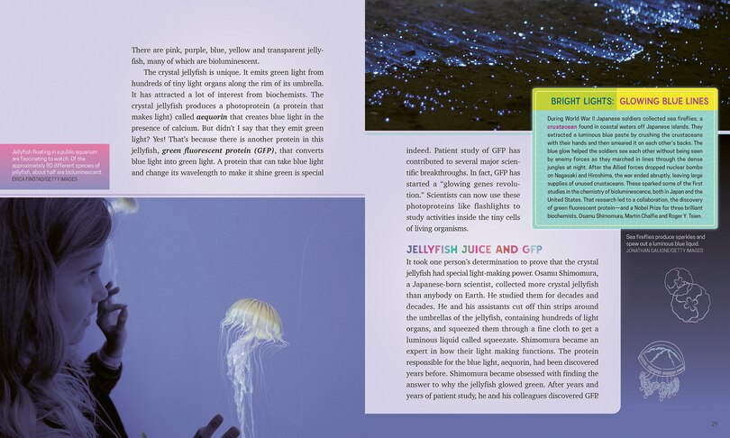 Sample content 3_Living Light