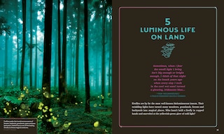 Sample content 4_Living Light