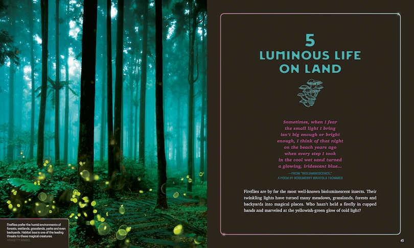 Sample content 4_Living Light