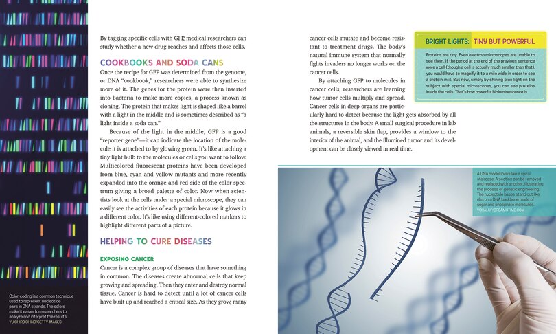 Sample content 5_Living Light