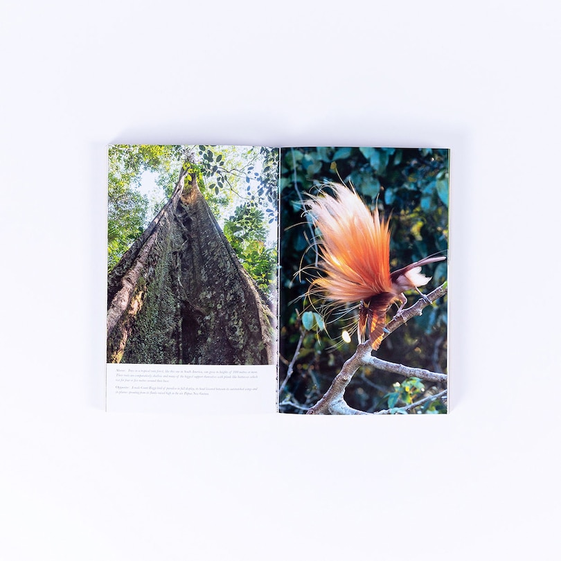 Sample content 3_Living Planet