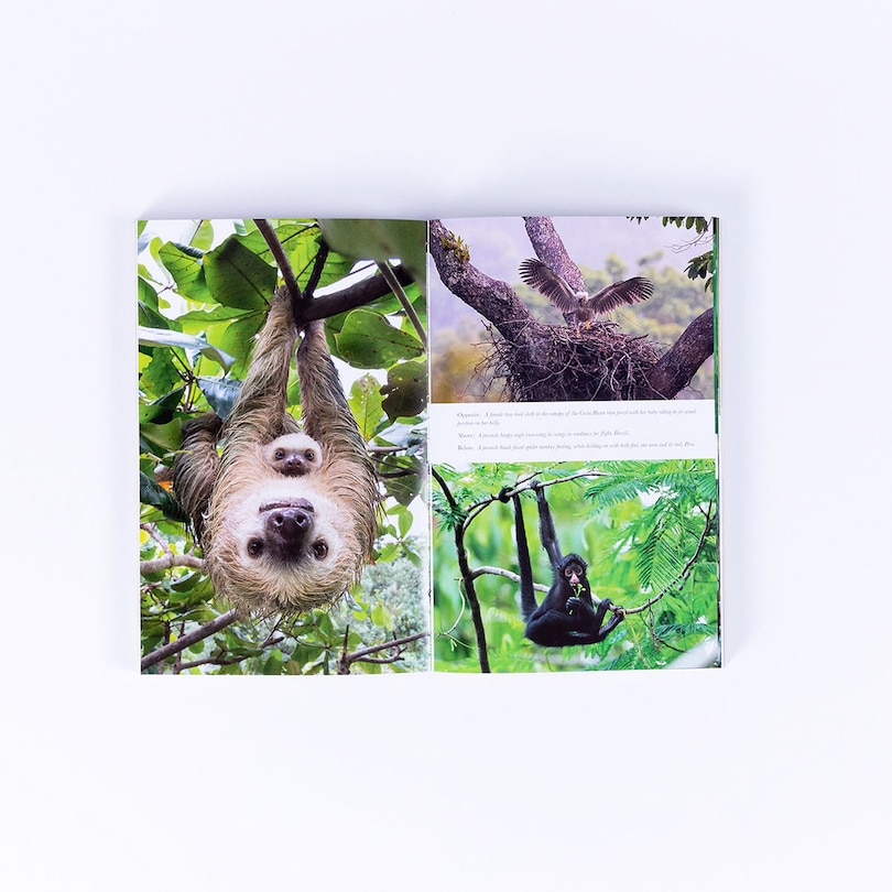 Sample content 4_Living Planet