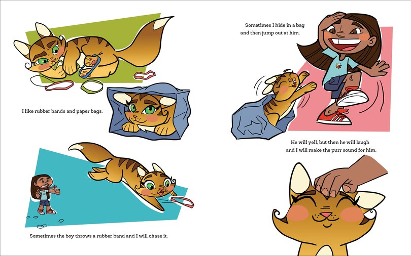 Sample content 5_Loaf the Cat Goes To The Powwow