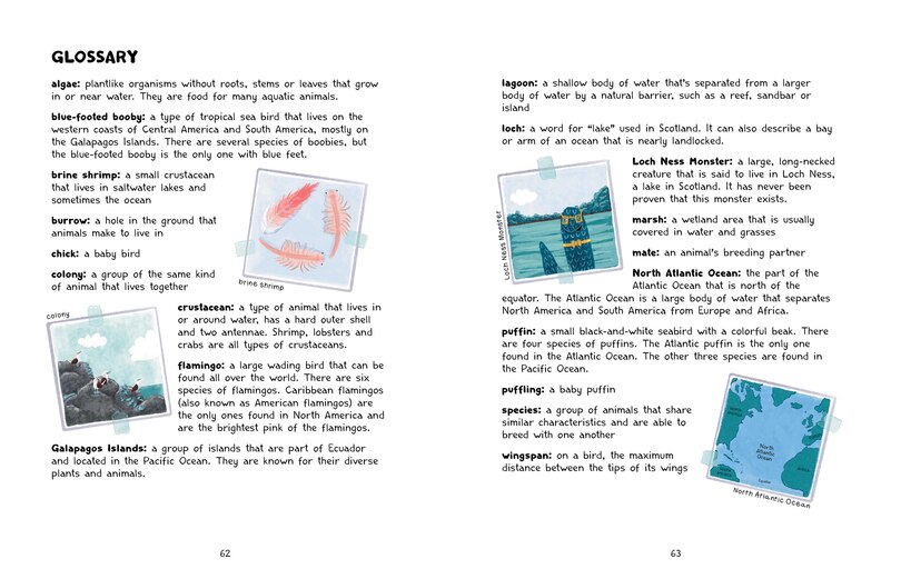 Aper&ccedil;u du contenu 4_Loch Ness Monster's Unbelievable Science