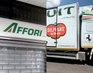 Aper&ccedil;u du contenu_Logo in Real Life