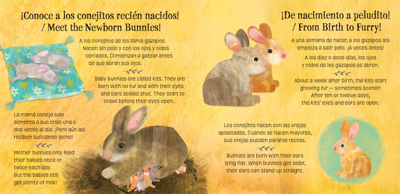 Aperçu du contenu_Los conejitos saben mucho y crecen / Bunnies Know & Grow