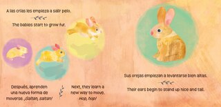 Aperçu du contenu 4_Los conejitos saben mucho y crecen / Bunnies Know & Grow