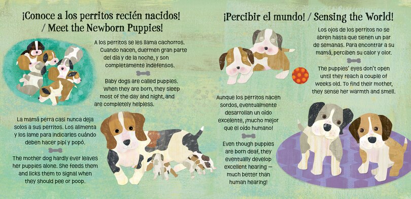Aperçu du contenu_Los perritos saben mucho y crecen / Puppies Know & Grow