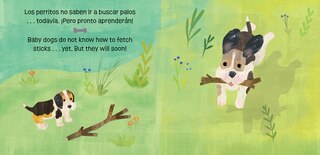 Aperçu du contenu 3_Los perritos saben mucho y crecen / Puppies Know & Grow