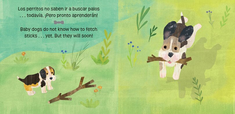 Aperçu du contenu 3_Los perritos saben mucho y crecen / Puppies Know & Grow