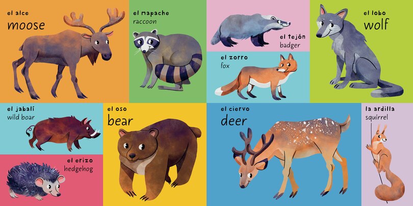 Aper&ccedil;u du contenu_Los Primeros 100 Animales/First 100 Animals