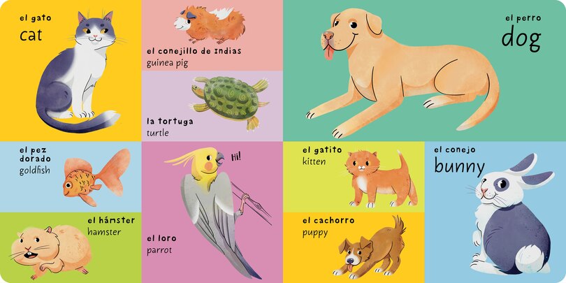 Aper&ccedil;u du contenu 2_Los Primeros 100 Animales/First 100 Animals