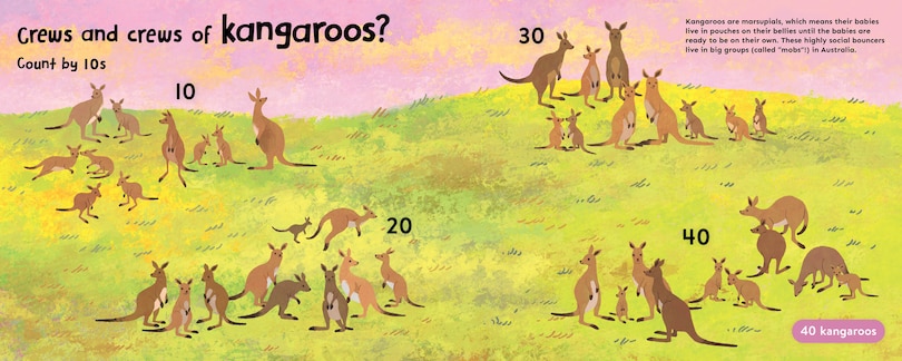 Aper&ccedil;u du contenu_Lots and Lots of Ocelots