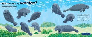 Aper&ccedil;u du contenu 2_Lots and Lots of Ocelots