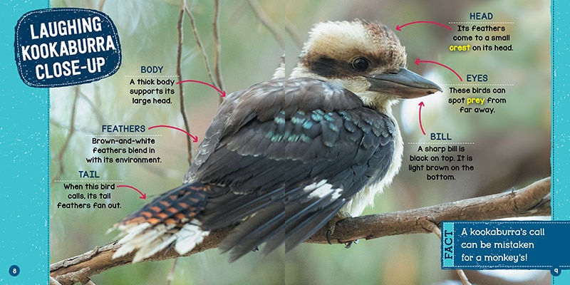 Sample content_Loudest Animals (Wild World: Top 10)