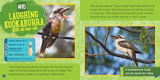 Sample content 2_Loudest Animals (Wild World: Top 10)