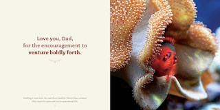 Sample content 5_Love You, Dad