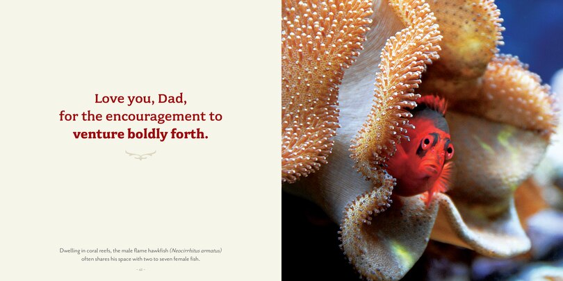 Sample content 5_Love You, Dad