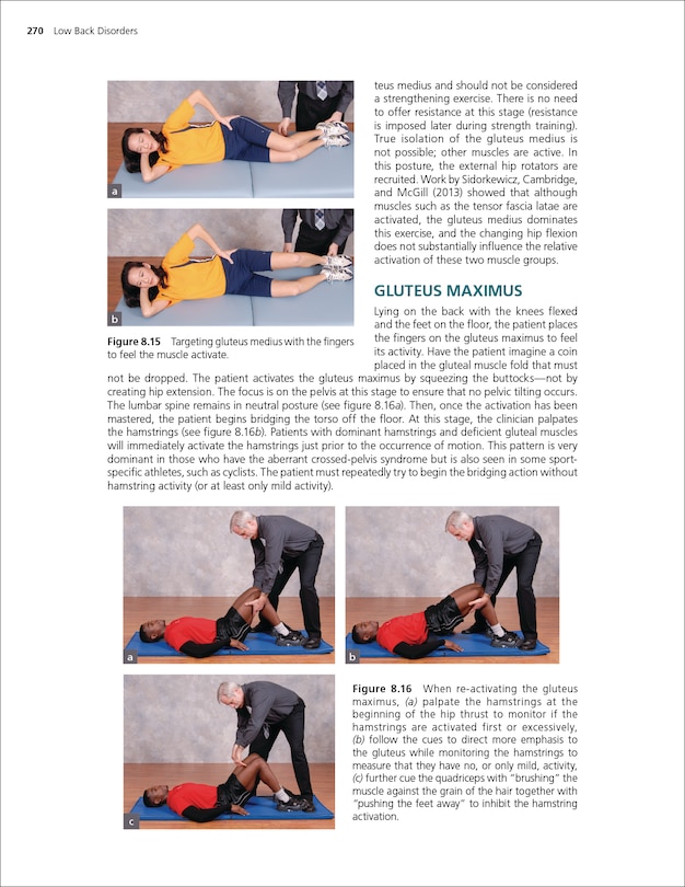 Sample content_Low Back Disorders