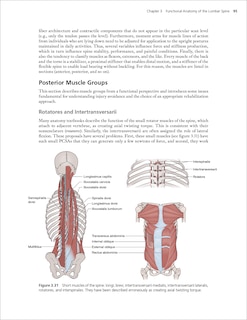 Sample content 3_Low Back Disorders