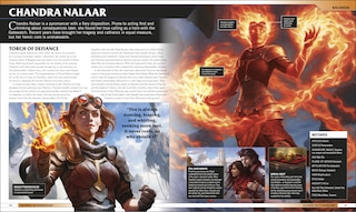 Sample content 5_Magic The Gathering The Visual Guide