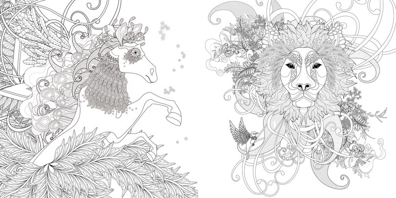 Sample content 3_Magical Nature Coloring Book