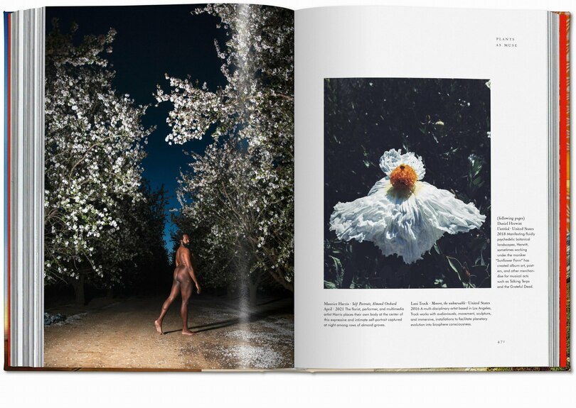 Aper&ccedil;u du contenu 2_Magie des plantes. La Biblioth&egrave;que de l'&Eacute;sot&eacute;risme