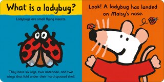 Aperçu du contenu_Maisy Loves Ladybugs: A Maisy's Planet Book