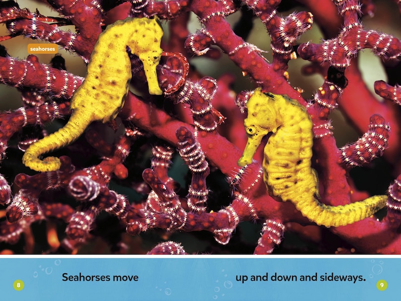 Aper&ccedil;u du contenu_Make a Splash Collection (National Geographic Kids Readers, Pre-Reader)