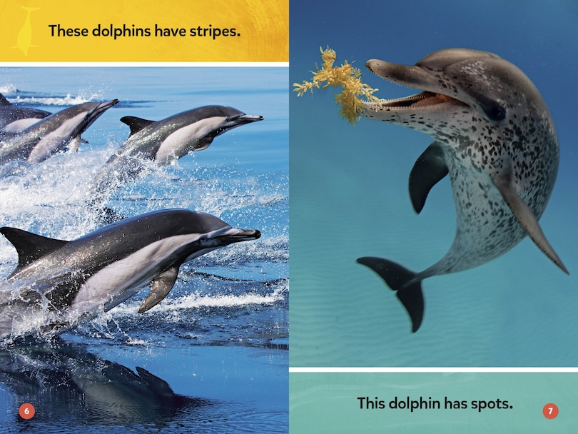 Aper&ccedil;u du contenu 2_Make a Splash Collection (National Geographic Kids Readers, Pre-Reader)