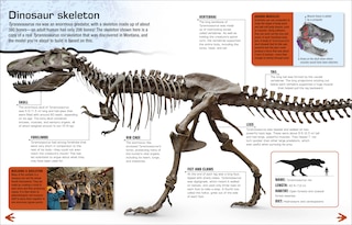 Aper&ccedil;u du contenu 4_Make Your Own T. Rex