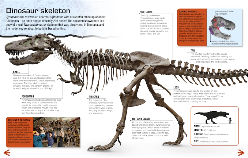 Aper&ccedil;u du contenu 4_Make Your Own T. Rex