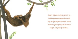 Sample content_Mamas and Babies