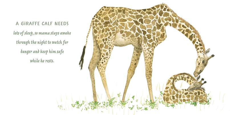 Sample content 2_Mamas and Babies