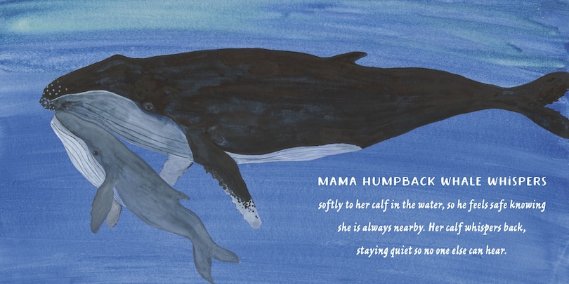 Sample content 3_Mamas and Babies